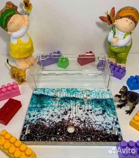 Муравьиная ферма