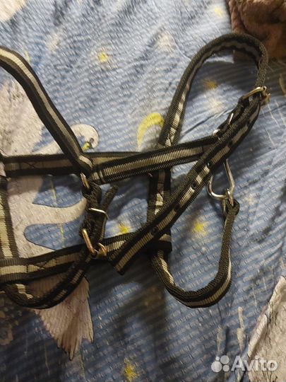 Конная амуниция