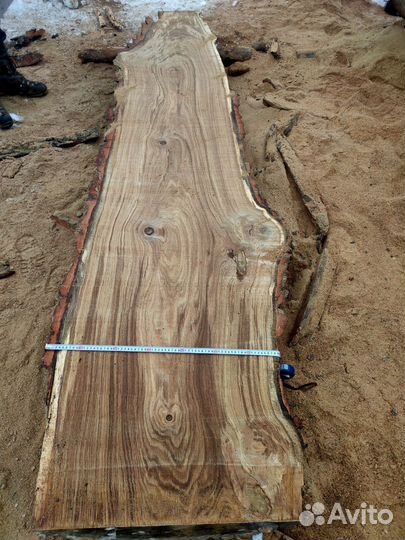 Слэб дерева дуб