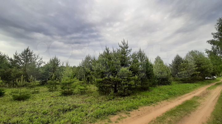 Участок 12 сот. (ИЖС)