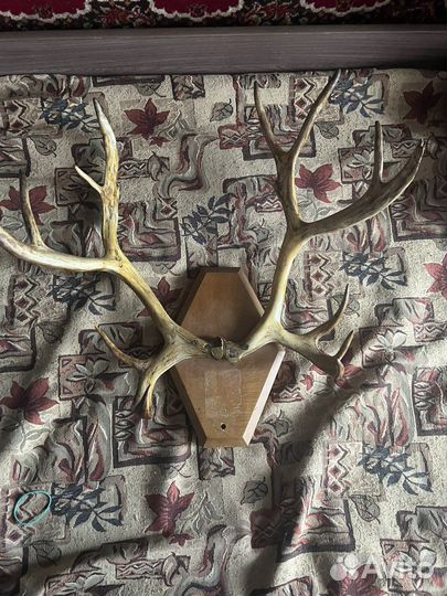 Ретро винтаж вешалка рога оленя