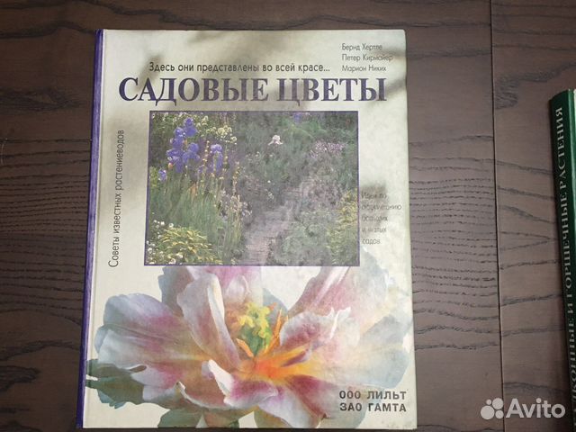 Книга «Садовые цветы»