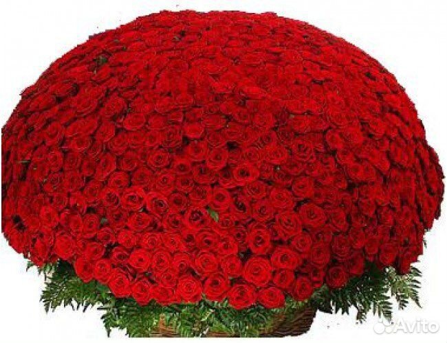 Шикарный букет красных роз