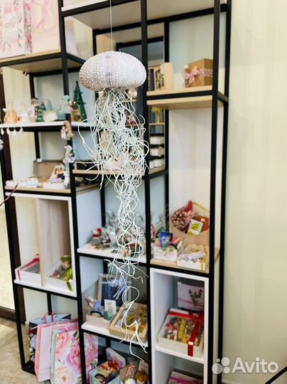 Тилландсия атмосферная