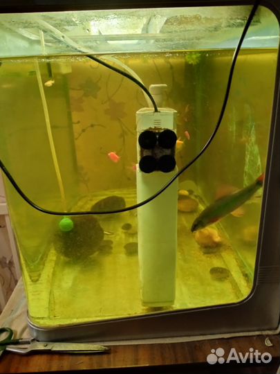 Аквариум