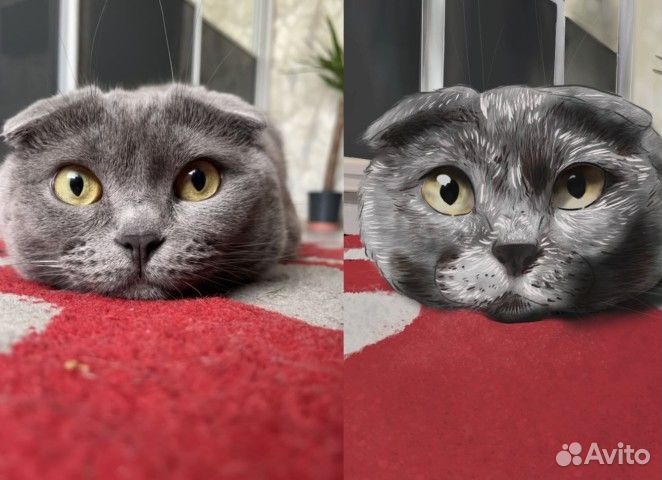 Рисунки на заказ котики