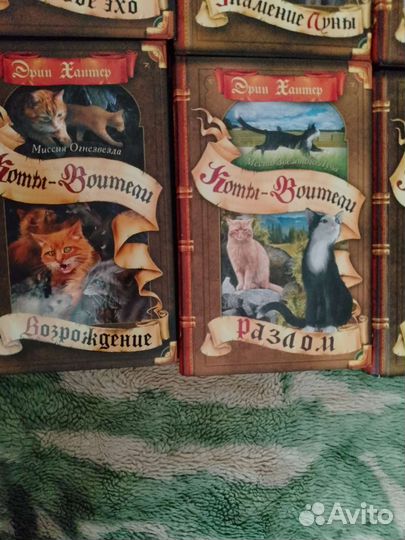 Коты воители и Ведьмочки гламбурга книги