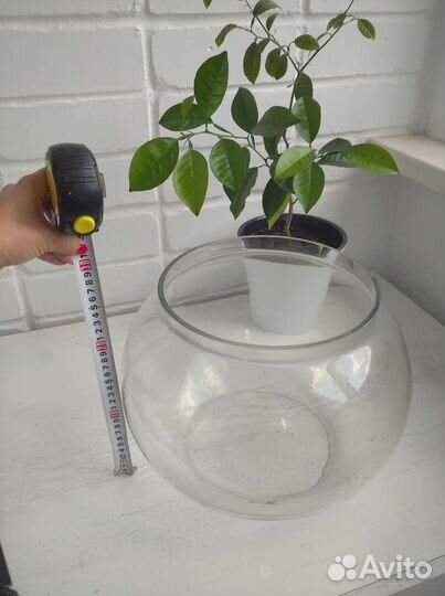 Аквариум круглый