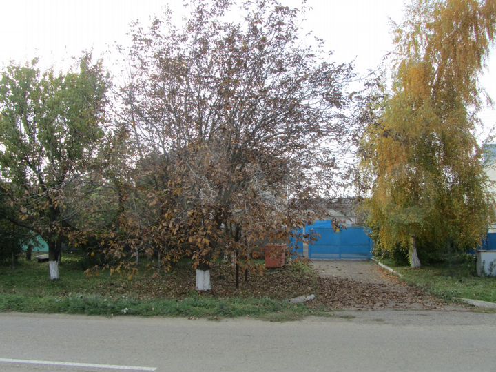 Дом 223 м² на участке 12,3 сот.