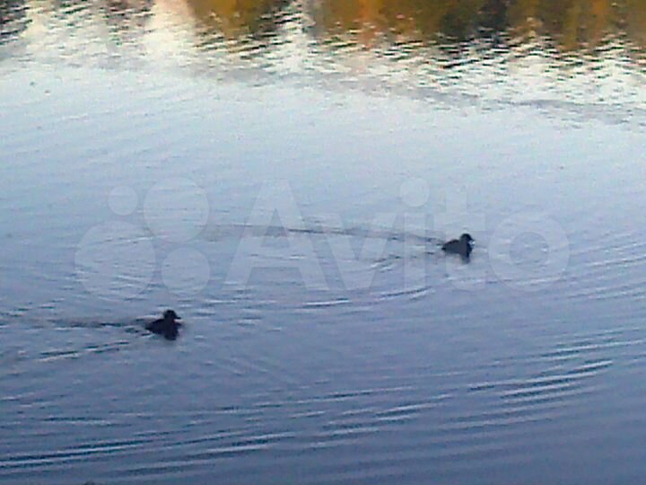 Участок 11,3 га (СНТ, ДНП)