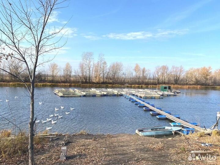 Садок для выращивания рыбы