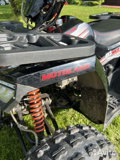 Квадроцикл MotoLand ATV wild