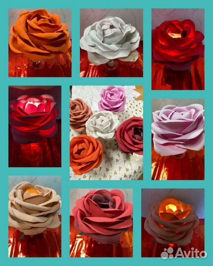 Роза ночник