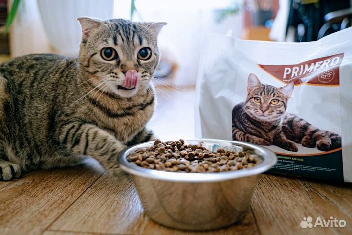 Корм сухой для кошек. Лосось с индейкой. Primero