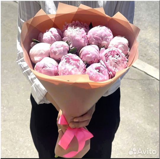 Пионы, Цветы 51