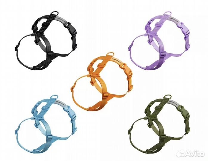 Анатомическая шлейка