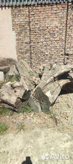 Пни на слэбы