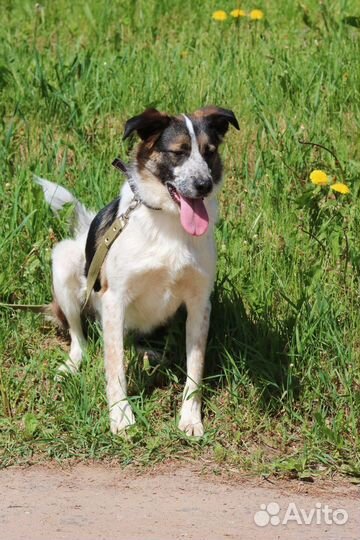 Мальчик Джек