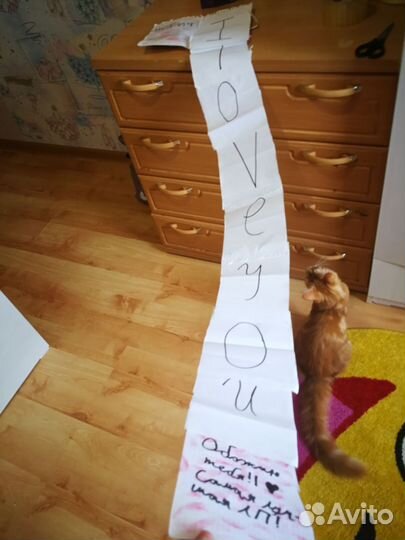 Подарок любому человеку