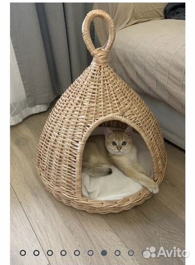 Домик для кошки