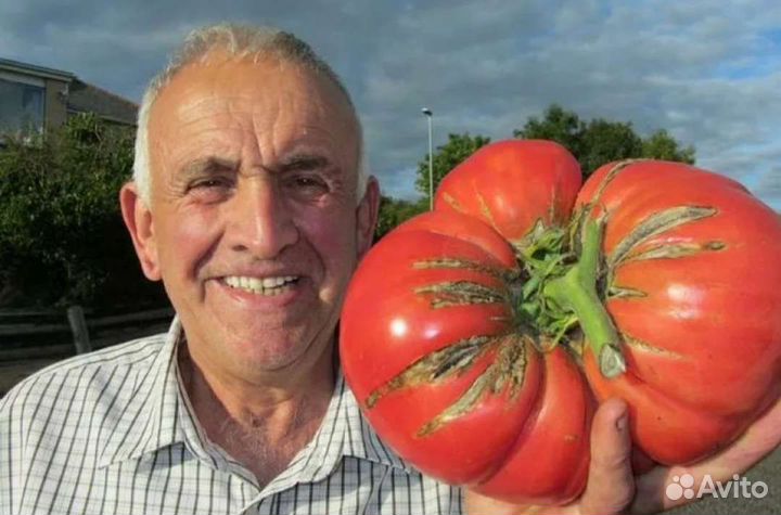 Земля плодородная