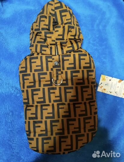 Одежда для собак