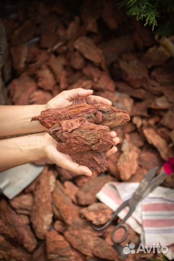 Мульча кора лиственницы (фракция 5-10см)