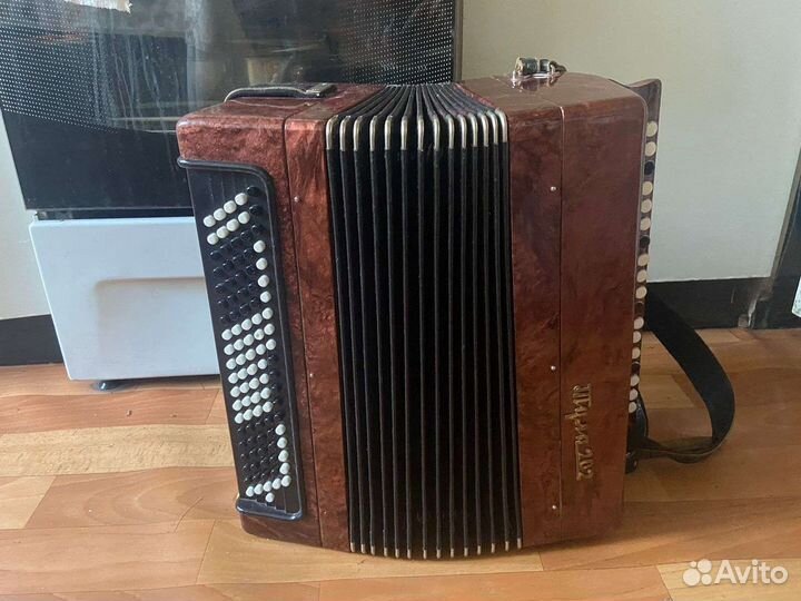 Баян Тула 202