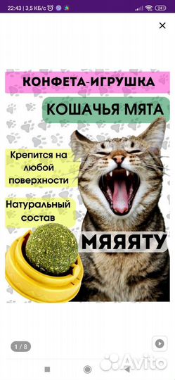 Кошачья мята шарик