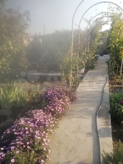 Участок 8 сот. (СНТ, ДНП)