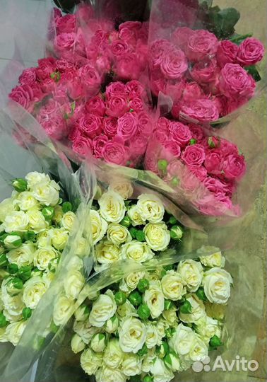 Розы оптом