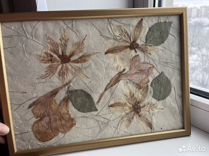 Картина Гербарий Цветы