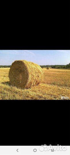 Солома в рулонах