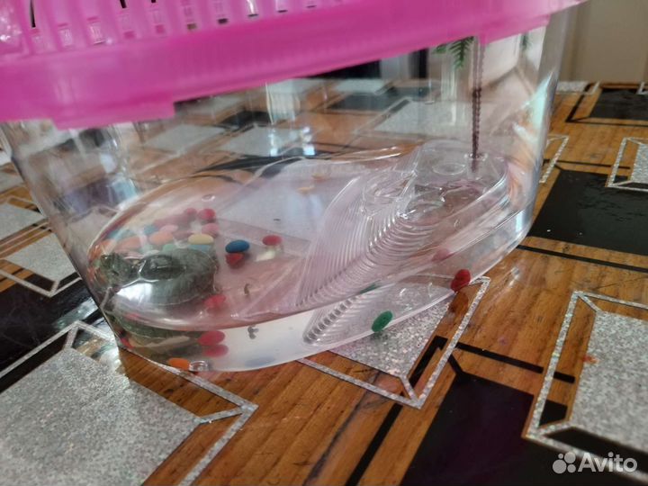 Черепаха с домиком