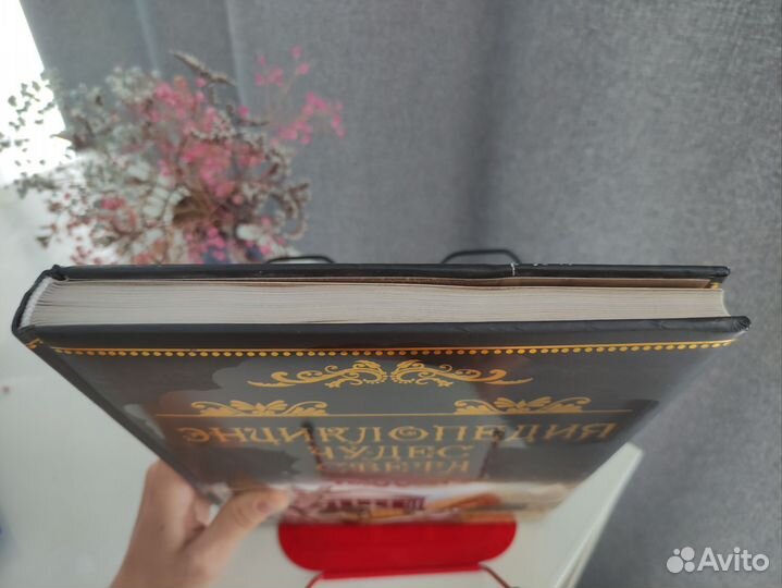 Энциклопедия чудес света