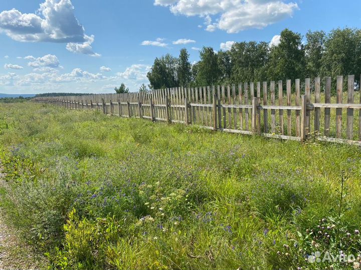 Фермерское хозяйство