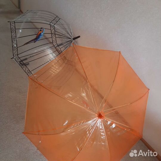 Два зонтика