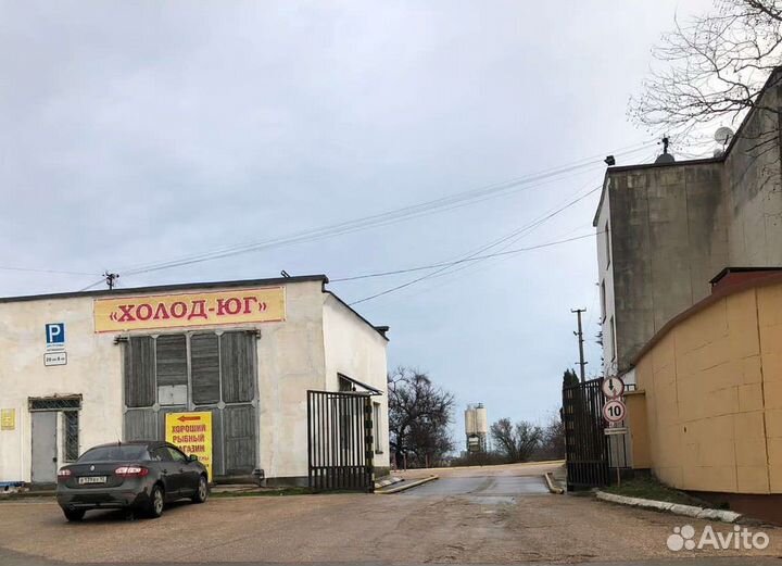 Окунь бг красный морской