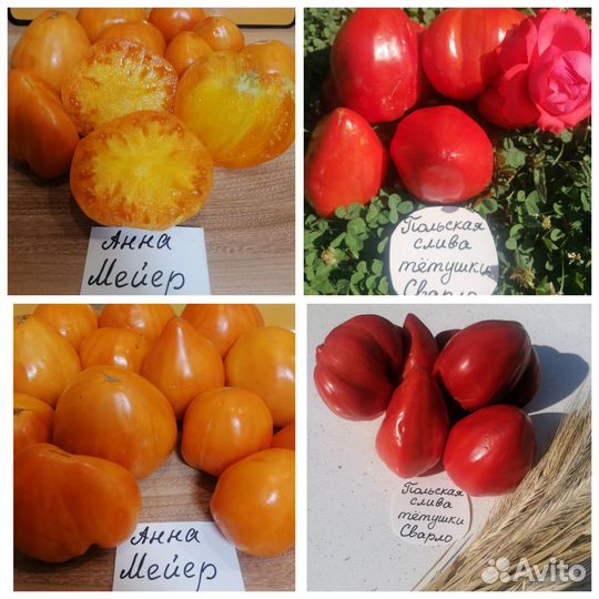 Семена серцевидных сортовых томатов