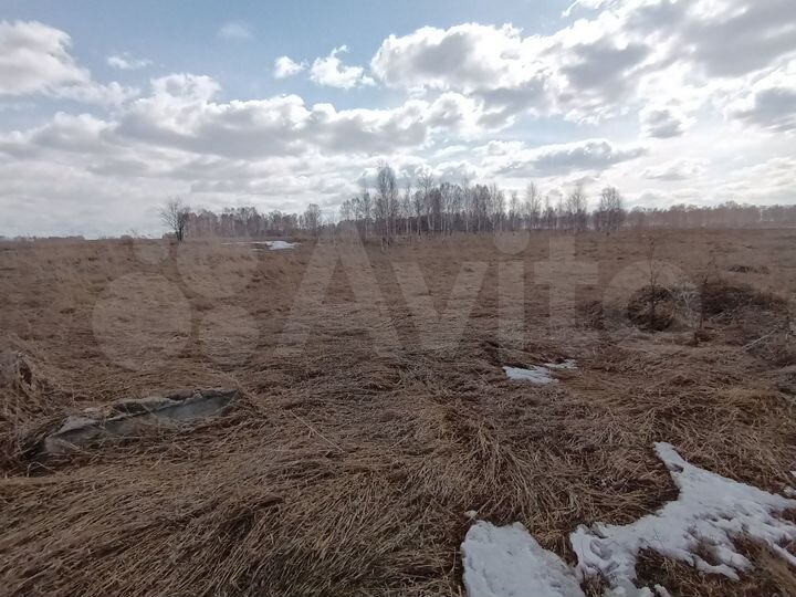 Участок 10 сот. (СНТ, ДНП)