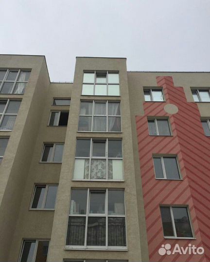 Тонировка окон