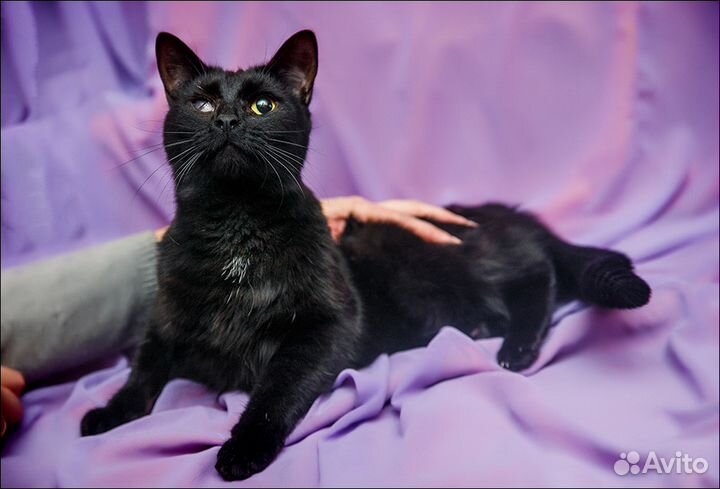 Нежная Мери очень ждёт когда ее заметят