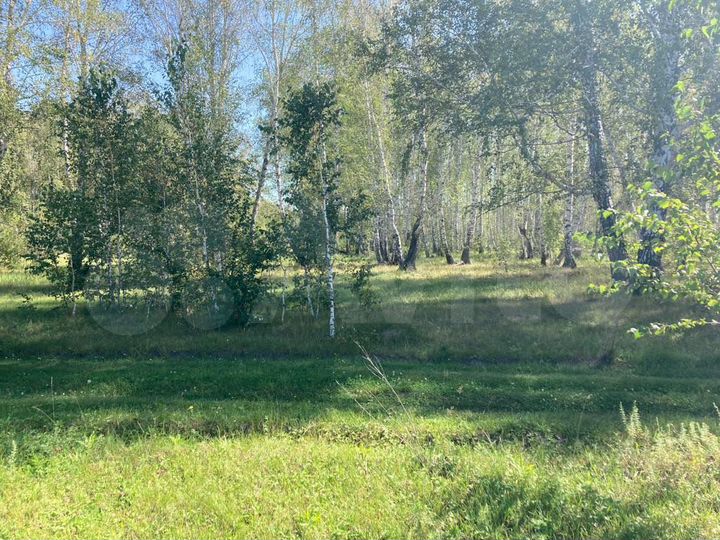 Участок 10 сот. (ИЖС)