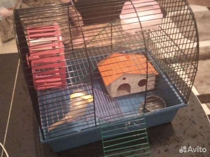 Клетка для грызунов