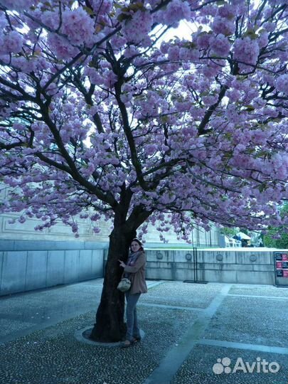 Мультиварка