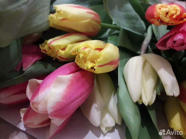 Тюльпаны на 8 марта, с доставкой