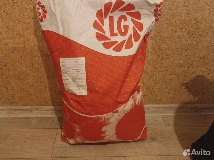 Семена подсолнечника LG
