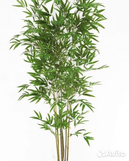 Бамбук искусственный
