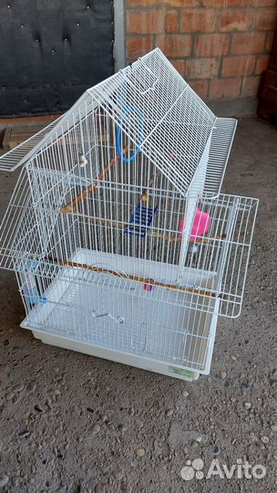 Клетка для попугая корелла