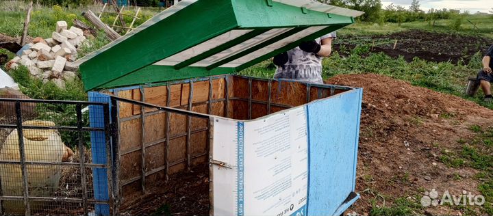 Цыплятник утятник